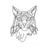 Minimalist Line Art of Raccoon's Masked Eye Area