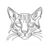 Minimalist Line Art of Raccoon's Masked Eye Area