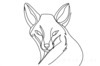Minimalist Line Art of Raccoon's Masked Eye Area