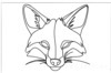 Minimalist Line Art of Raccoon's Masked Eye Area