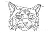 Minimalist Line Art of Raccoon's Masked Eye Area