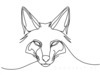 Minimalist Line Art of Raccoon's Masked Eye Area
