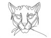 Minimalist Line Art of Raccoon's Masked Eye Area