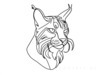 Minimalist Line Art of Raccoon's Masked Eye Area