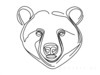 Minimalist Line Art of Raccoon's Masked Eye Area