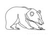 Minimalist Line Art of Raccoon's Masked Eye Area