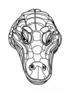 Minimalist Line Art of Raccoon's Masked Eye Area