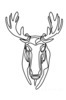 Minimalist Line Art of Raccoon's Masked Eye Area