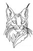 Minimalist Line Art of Raccoon's Masked Eye Area