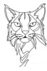 Minimalist Line Art of Raccoon's Masked Eye Area
