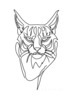 Minimalist Line Art of Raccoon's Masked Eye Area