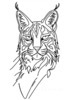 Minimalist Line Art of Raccoon's Masked Eye Area