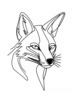 Minimalist Line Art of Raccoon's Masked Eye Area