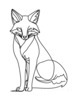 Minimalist Line Art of Raccoon's Masked Eye Area