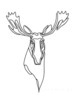Minimalist Line Art of Raccoon's Masked Eye Area
