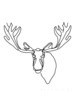 Minimalist Line Art of Raccoon's Masked Eye Area