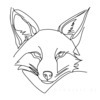 Minimalist Line Art of Raccoon's Masked Eye Area