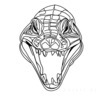 Minimalist Line Art of Raccoon's Masked Eye Area