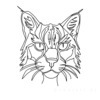 Minimalist Line Art of Raccoon's Masked Eye Area