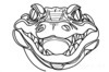 Minimalist Line Art of Raccoon's Masked Eye Area