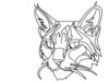 Minimalist Line Art of Raccoon's Masked Eye Area