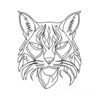 Minimalist Line Art of Raccoon's Masked Eye Area