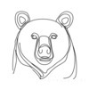 Minimalist Line Art of Raccoon's Masked Eye Area