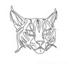 Minimalist Line Art of Raccoon's Masked Eye Area