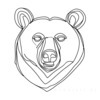 Minimalist Line Art of Raccoon's Masked Eye Area