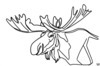 Minimalist Line Art of Raccoon's Masked Eye Area