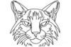 Minimalist Line Art of Raccoon's Masked Eye Area