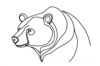 Minimalist Line Art of Raccoon's Masked Eye Area