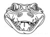 Minimalist Line Art of Raccoon's Masked Eye Area