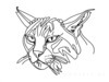 Minimalist Line Art of Raccoon's Masked Eye Area