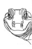 Minimalist Line Art of Raccoon's Masked Eye Area
