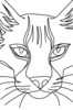 Minimalist Line Art of Raccoon's Masked Eye Area