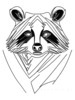 Minimalist Line Art of Raccoon's Masked Eye Area