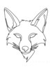 Minimalist Line Art of Raccoon's Masked Eye Area