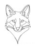 Minimalist Line Art of Raccoon's Masked Eye Area