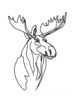 Minimalist Line Art of Raccoon's Masked Eye Area