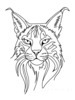 Minimalist Line Art of Raccoon's Masked Eye Area