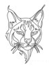 Minimalist Line Art of Raccoon's Masked Eye Area