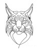 Minimalist Line Art of Raccoon's Masked Eye Area