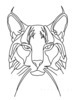 Minimalist Line Art of Raccoon's Masked Eye Area