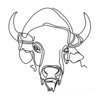 Minimalist Line Art of Raccoon's Masked Eye Area