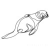 Minimalist Line Art of Raccoon's Masked Eye Area
