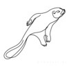 Minimalist Line Art of Raccoon's Masked Eye Area