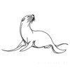 Minimalist Line Art of Raccoon's Masked Eye Area