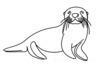 Minimalist Line Art of Raccoon's Masked Eye Area
