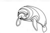 Minimalist Line Art of Raccoon's Masked Eye Area